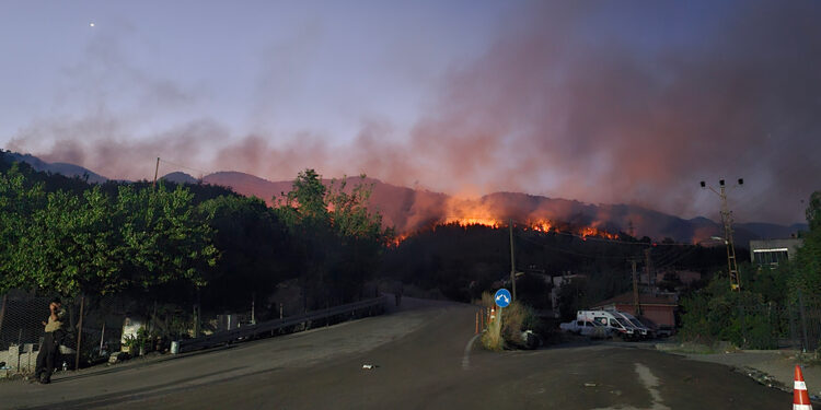 Hatay'daki orman yangını 2'nci günde sürüyor; 920 ev boşaltıldı