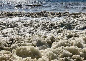 İskenderun Körfezi'nde köpük oluşumu tedirgin etti