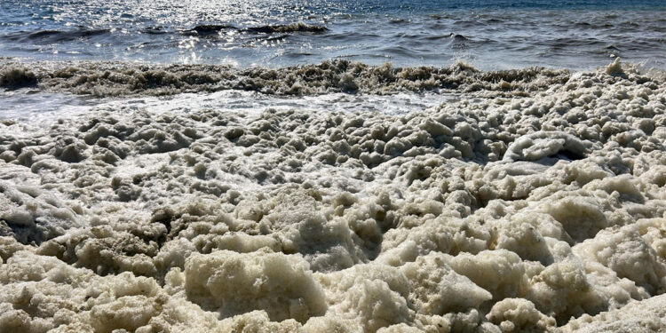 İskenderun Körfezi'nde köpük oluşumu tedirgin etti