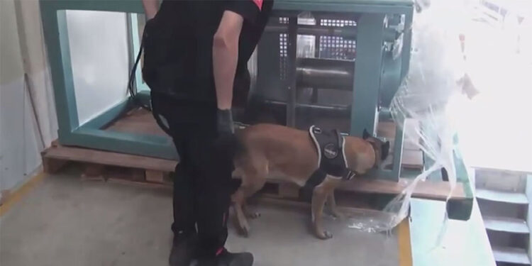 Çatalca'da uyuşturucu operasyonu; 60 kilo kokain ele geçirildi 