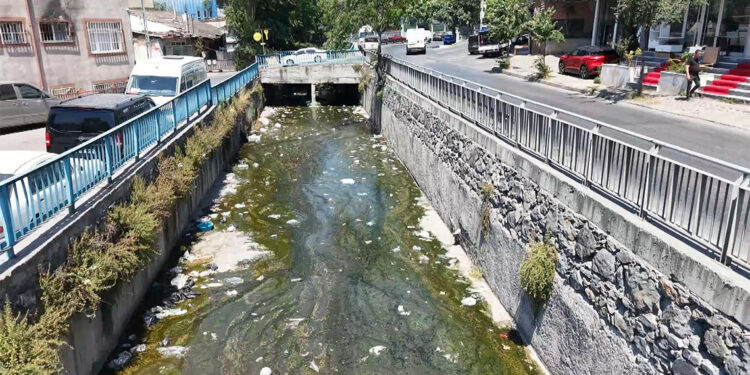 Galata Deresi'ne atılan çöplere tepki