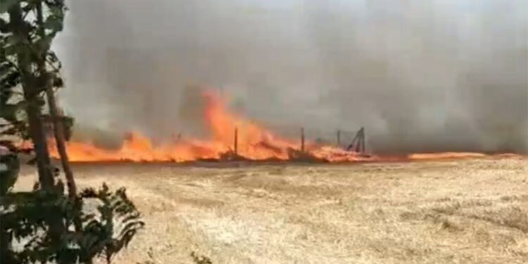 Silivri'de buğday tarlasında çıkan yangın söndürüldü