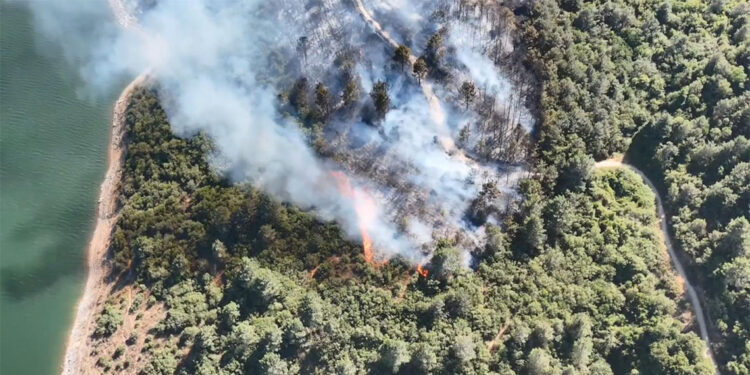 Sultangazi Kent Ormanı'nda korkutan yangın