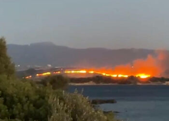 İzmir Aliağa'da otluk yangını çıktı!