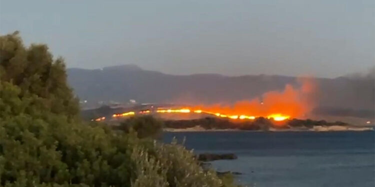 İzmir Aliağa'da otluk yangını çıktı!