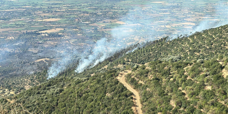 Ödemiş 3 gündür yanıyor