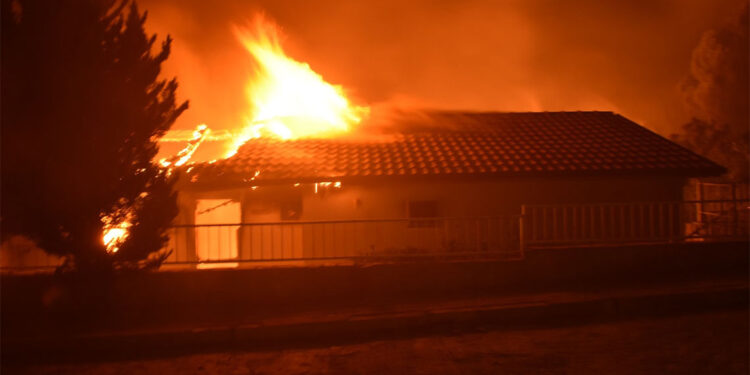 Orman yangınlarında 184 konut ve 5 iş yeri ağır hasar gördü
