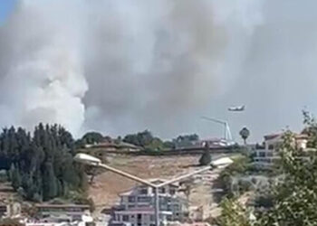 İzmir'in Urla ilçesinde orman yangını! Çok sayıda orman işçisi sevk edildi