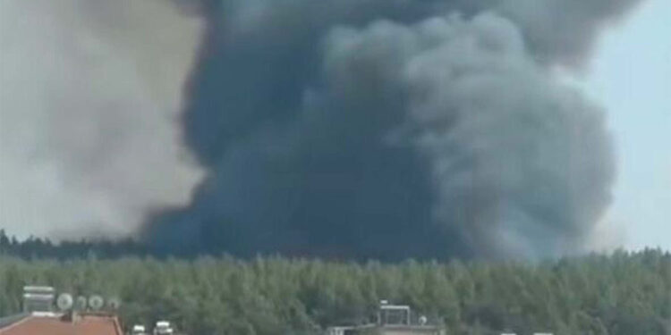 Gaziemir'de ormanda yangın çıktı