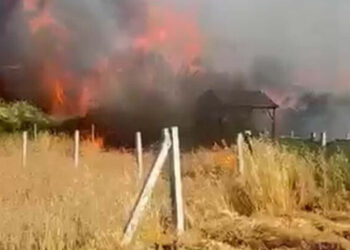 İzmir'deki yangında 8 ev zarar gördü, 2 kişi dumandan etkilendi