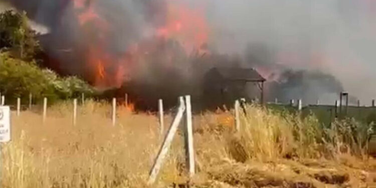 İzmir'deki yangında 8 ev zarar gördü, 2 kişi dumandan etkilendi