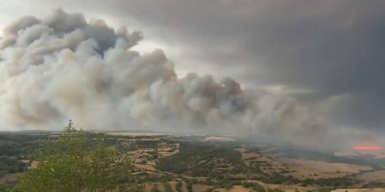 İspanya'da orman yangını: 2 ölü