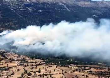 Isparta'da orman yangını çıktı