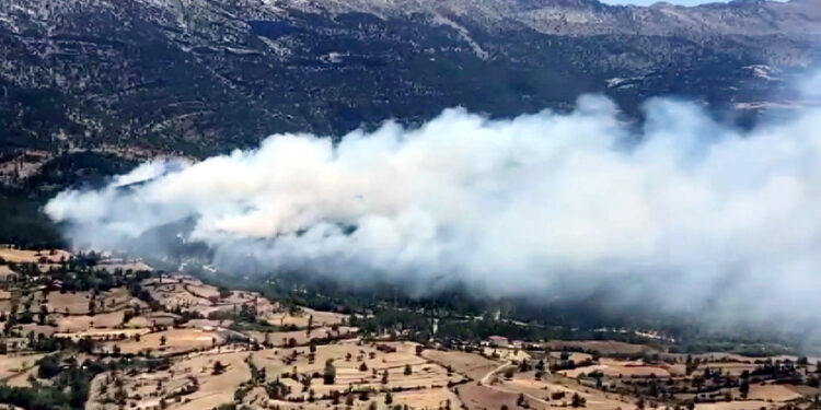Isparta'da orman yangını çıktı