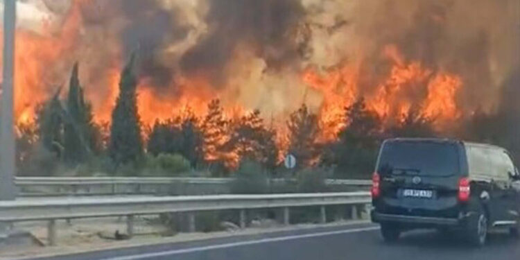 İzmir Buca alevlere teslim oldu