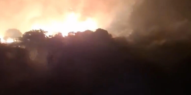 İzmir Dikili'deki maki yangını 8 saatte kontrol altına alındı