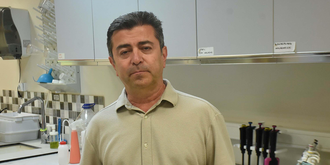 İzmir Körfezi'nde yeniden balık ölümleri olacak