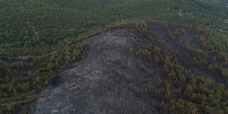 İzmir Urla'daki orman yangını 2'nci gününde