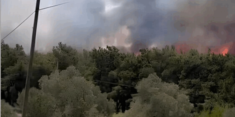 İzmir yine alevlere teslim oldu