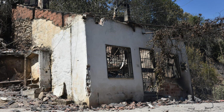 İzmir'de orman yangınları sonrası yangın sigortasına talep arttı