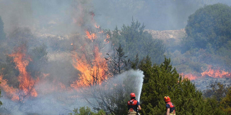 İzmir'de orman yangınlarında yanan alan rekoru kırıldı
