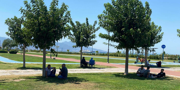 İzmir'de sıcaklık rekoru kırıldı