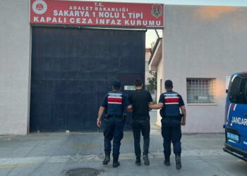 Sakarya'da 40 kök kenevir bitkisi ele geçirildi