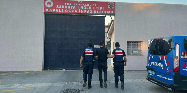 Sakarya'da 40 kök kenevir bitkisi ele geçirildi