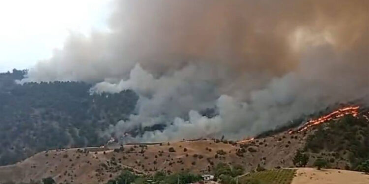 Kahramanmaraş'ta orman yangını; çok sayıda ekip sevk edildi