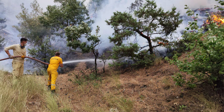 Kahramanmaraş 2 gündür yanıyor; Alevler yerleşim yerlerine ulaştı