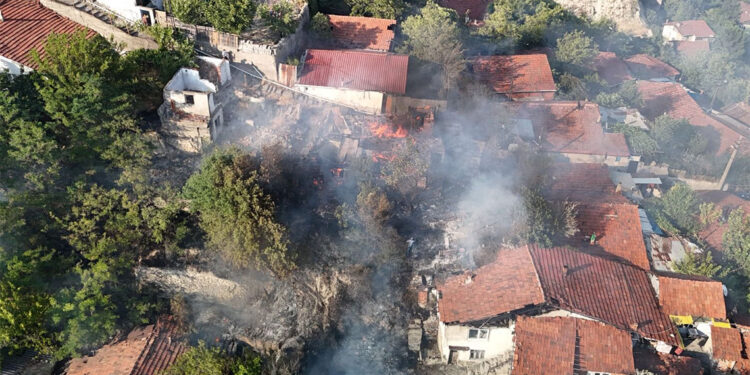 Karabük'te otluk alanda çıkan yangında 2 ev kül oldu