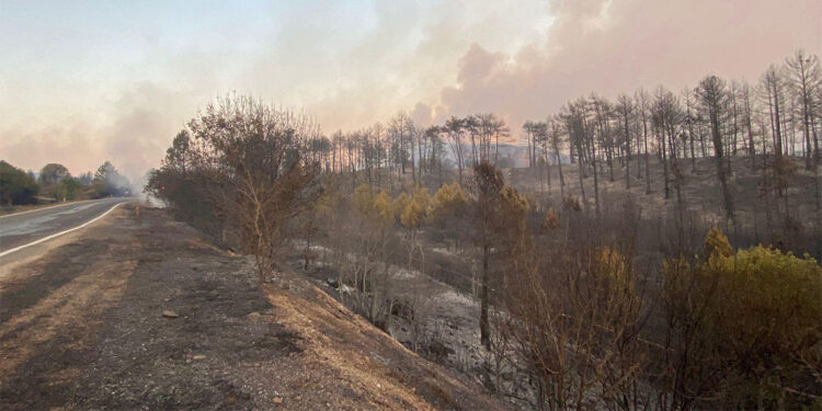 Karabük'te orman yangını; 10 köy boşaltıldı