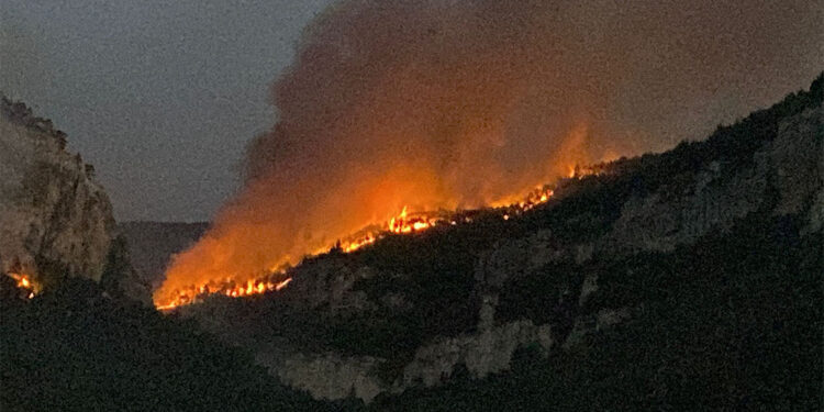 Karabük'te orman yangını; 14 köyden 1006 kişi tahliye edildi