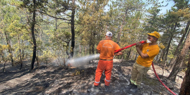 1006 kişinin tahliye edildiği orman yangınlarına müdahale sürüyor