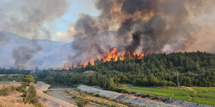 Karabük'te dağın etekleri alev aldı; 18 köy boşaltıldı