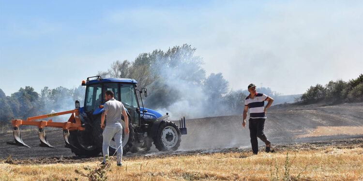 Kırklareli'de yangında ağaçlık alan ile tarım alanları zarar gördü