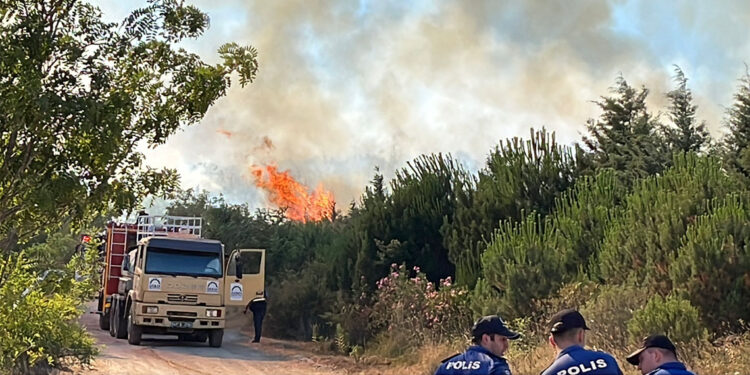 Kocaeli'nin Gebze ilçesi de alevlere teslim oldu