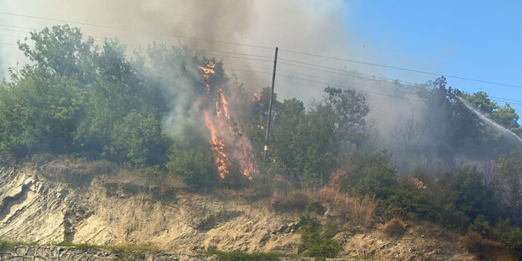 Kopan elektrik telleri ormanda örtü yangınına yol açtı