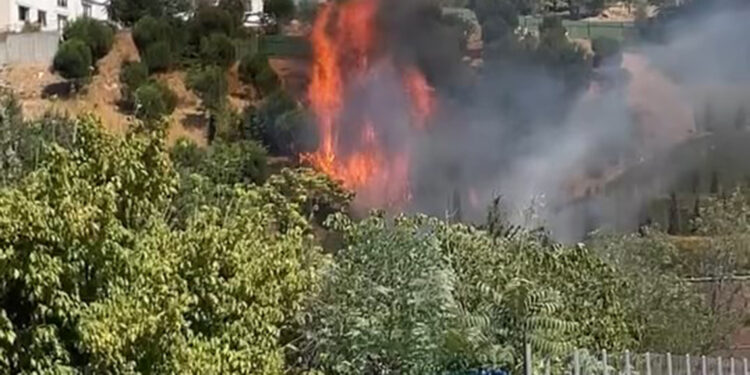 Kağıthane'de ağaçlık alandaki yangının çıkış anları kamerada