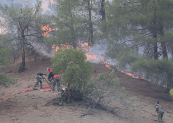Kahramanmaraş'taki yangın 3'üncü gününde; 500 hektar alan kül oldu