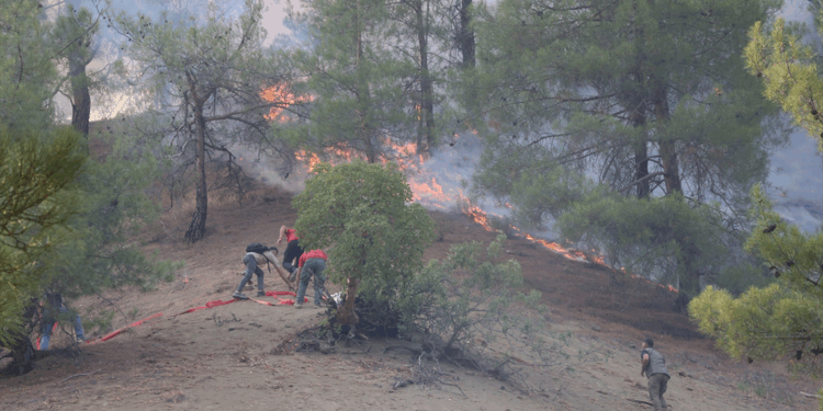 Kahramanmaraş'taki yangın 3'üncü gününde; 500 hektar alan kül oldu