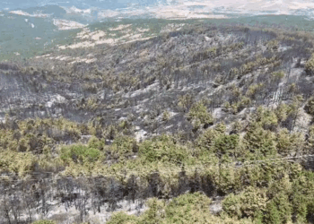 Karabük'teki 3 yangından biri kontrol altında