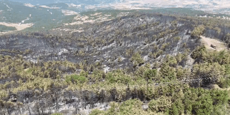 Karabük'teki 3 yangından biri kontrol altında