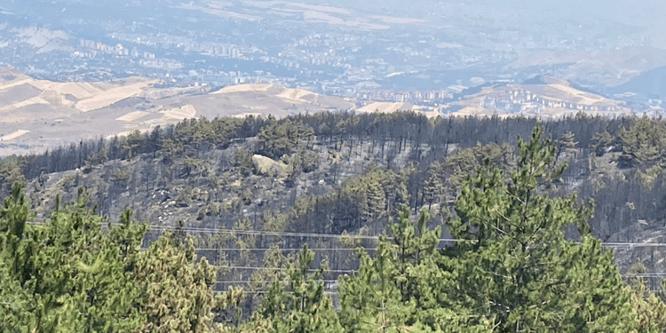 Karabük'teki orman yangınları kontrol altında 
