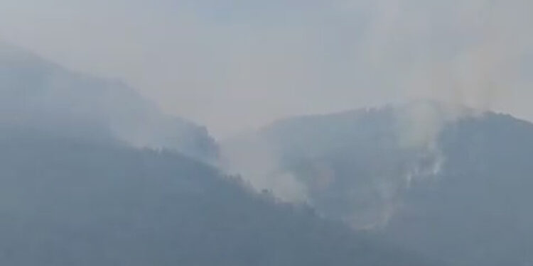 Karabük'teki orman yangınlarında 4'üncü gün