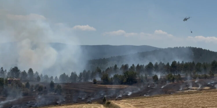 Kastamonu'da anız yangını ormana sıçradı; 10 hektar alan zarar gördü
