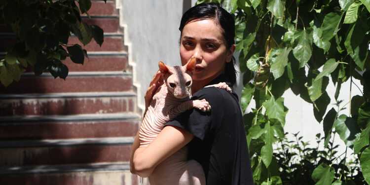 Kaybolan kedisi ‘Odin’i bulana 2 bin dolar ödül verdi