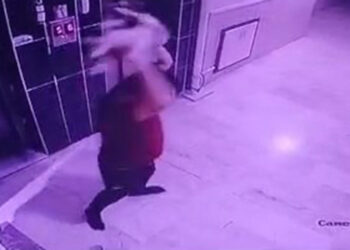 Kediyi yere fırlatan şüpheliye gözaltı
