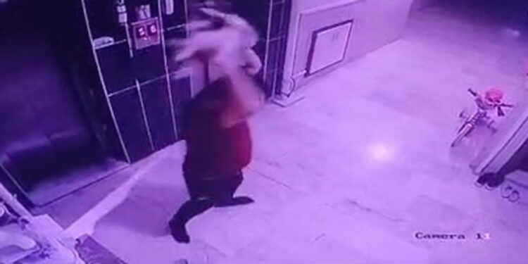 Kediyi yere fırlatan şüpheliye gözaltı