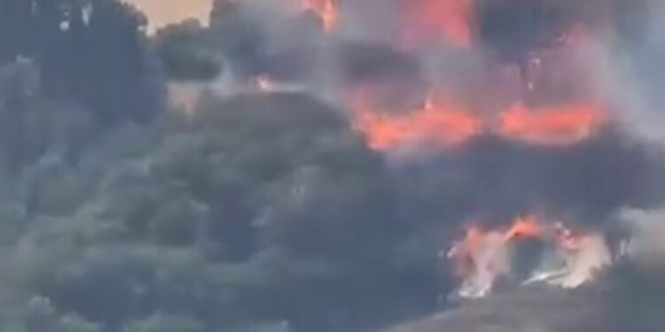 Kocaeli'nin Karamürsel ilçesinde orman yangını